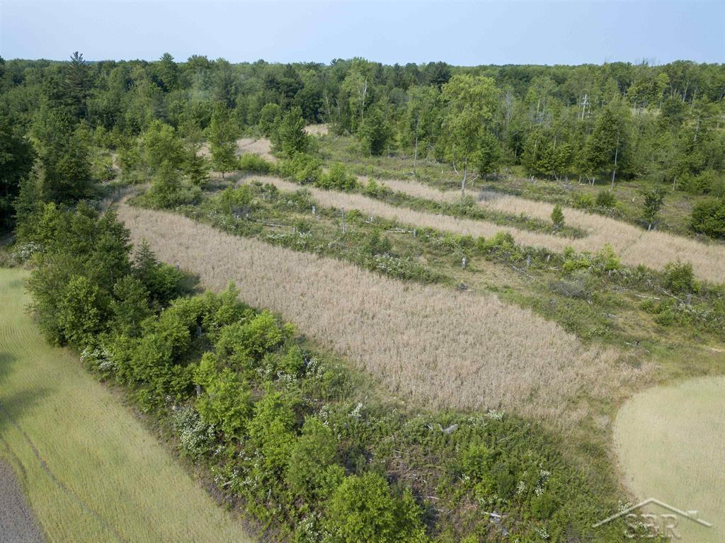 66-acres North Geneva Road Coleman, MI 48618 - Photo 13 of 44 50112001-12.JPG