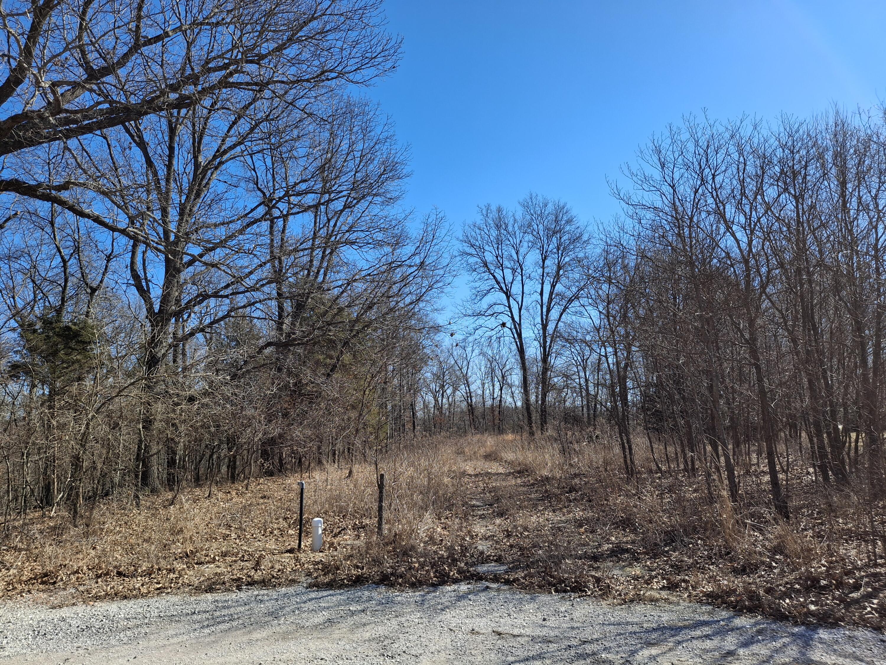 6237 Hunters Glen Road Seligman, MO 65745 - Photo 5 of 8 1000006388