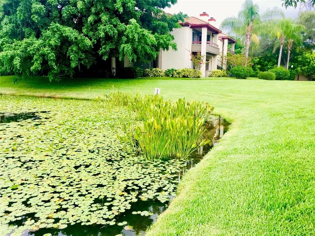 a view of a back yard of the house
