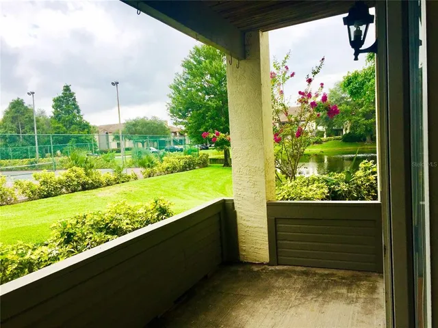 a view of a garden from a window