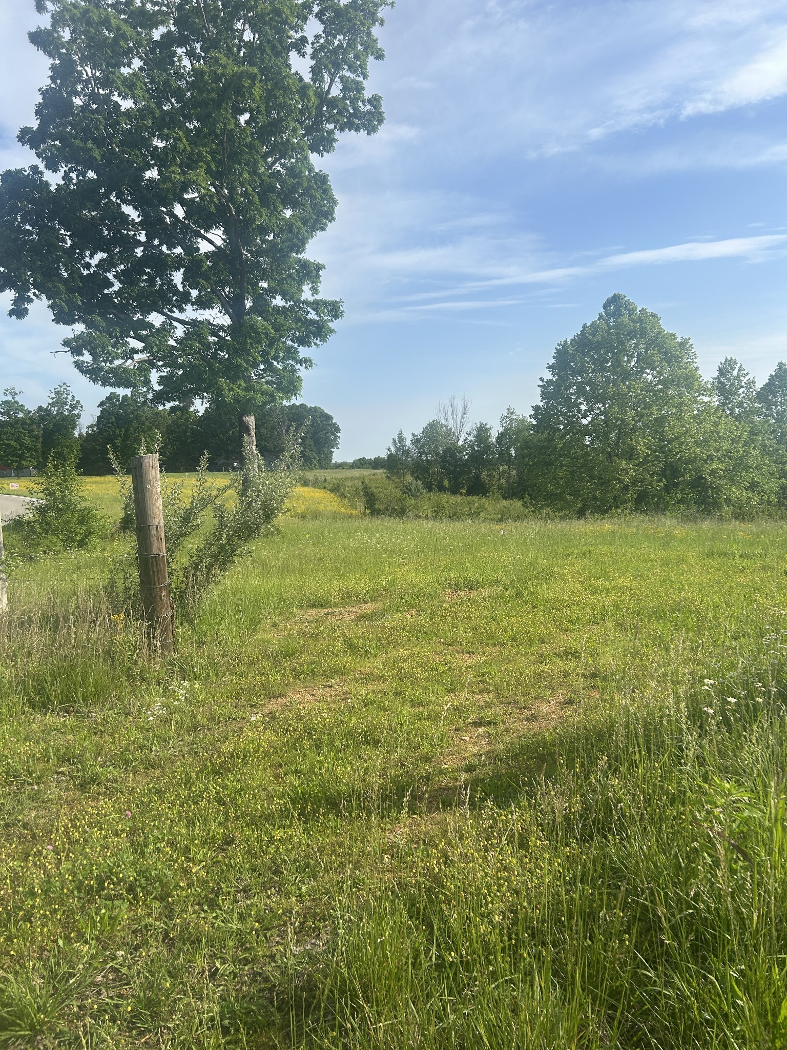 2047 Buffalo Road Hohenwald, TN 38462 - Photo 15 of 25 a view of a field with an trees