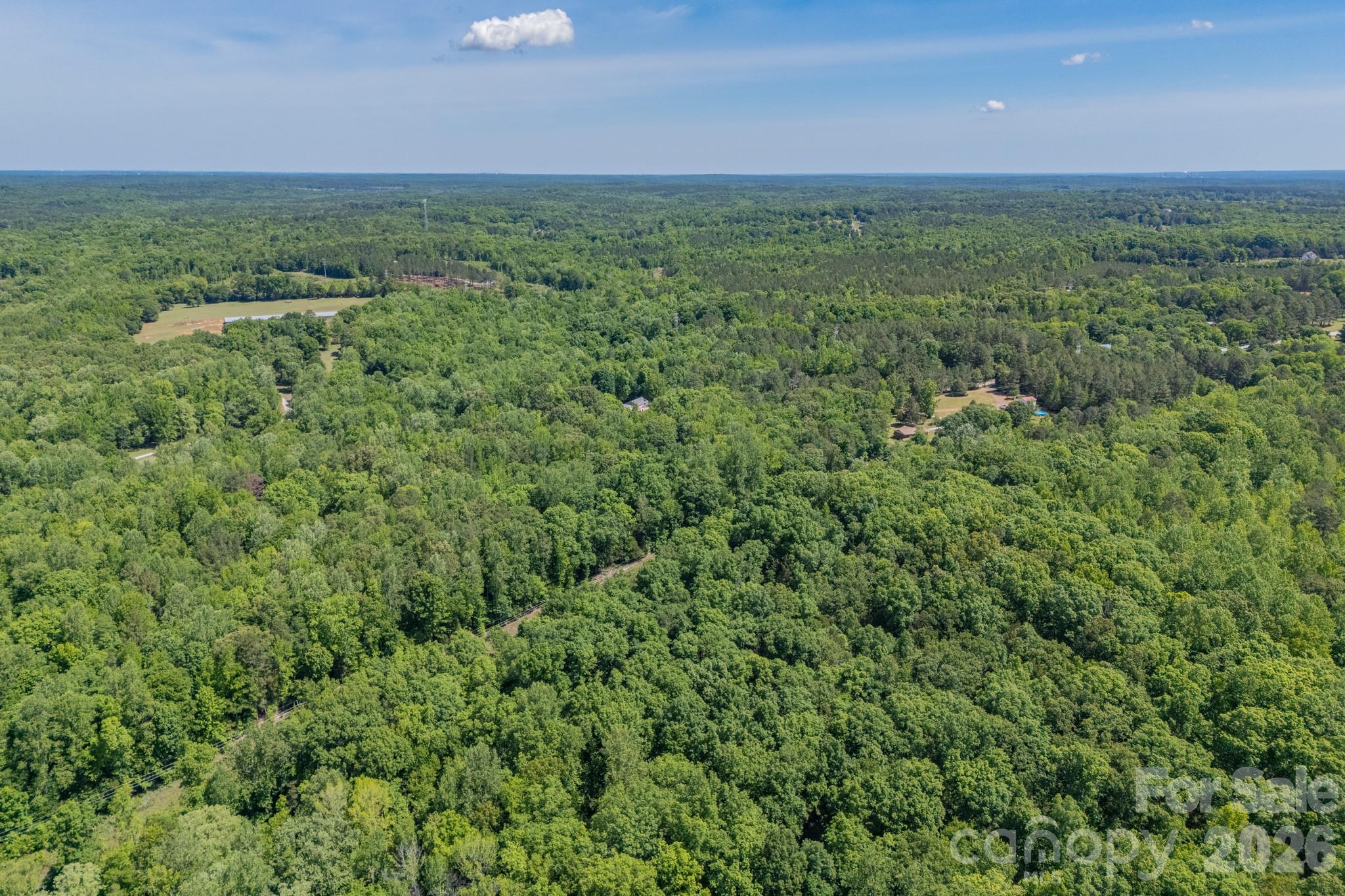 1836 Westbrook Road Edgemoor, SC 29712 - Photo 44 of 47 a view of a big yard with lots of green space and trees