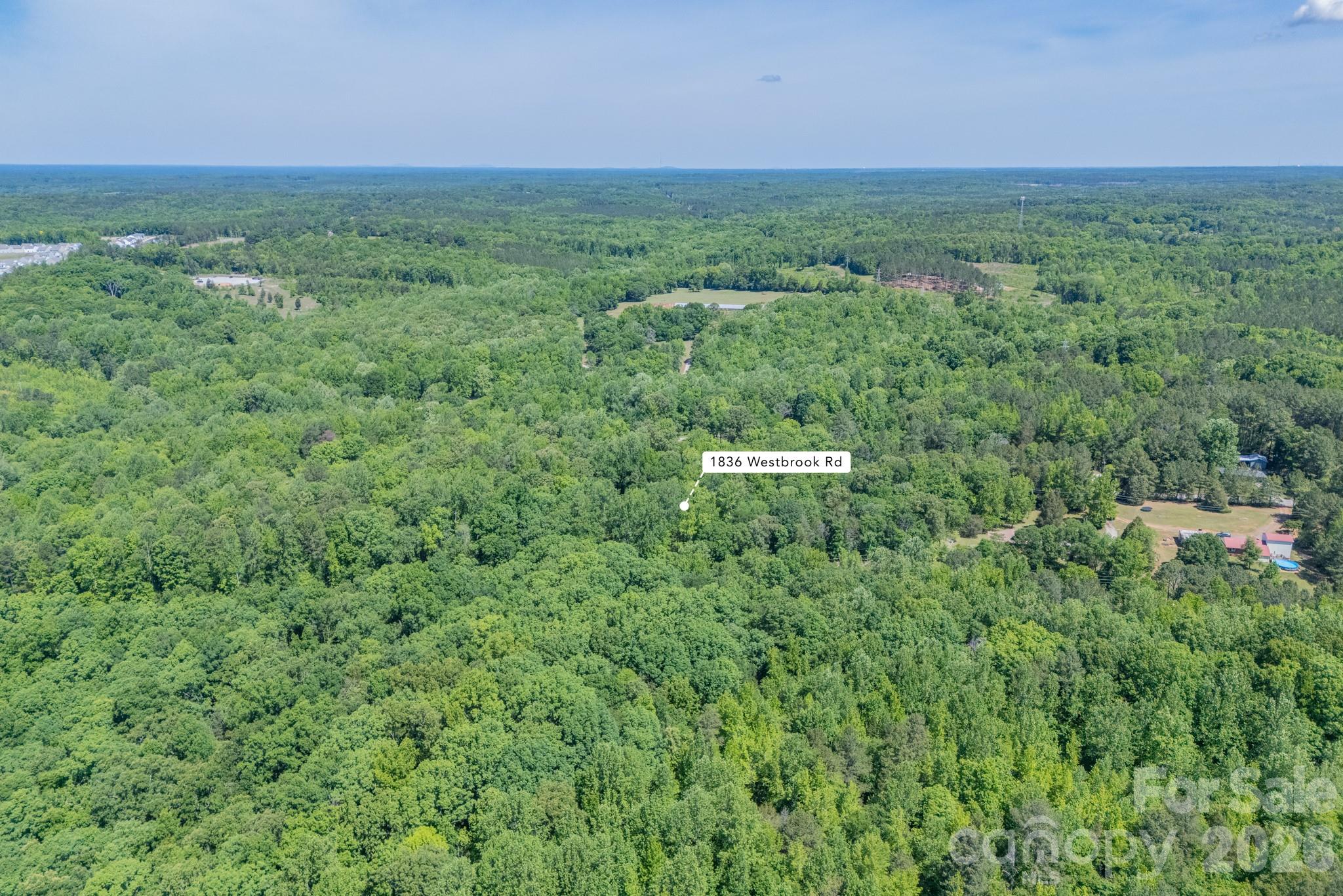 1836 Westbrook Road Edgemoor, SC 29712 - Photo 45 of 47 a view of a lush green space with sea