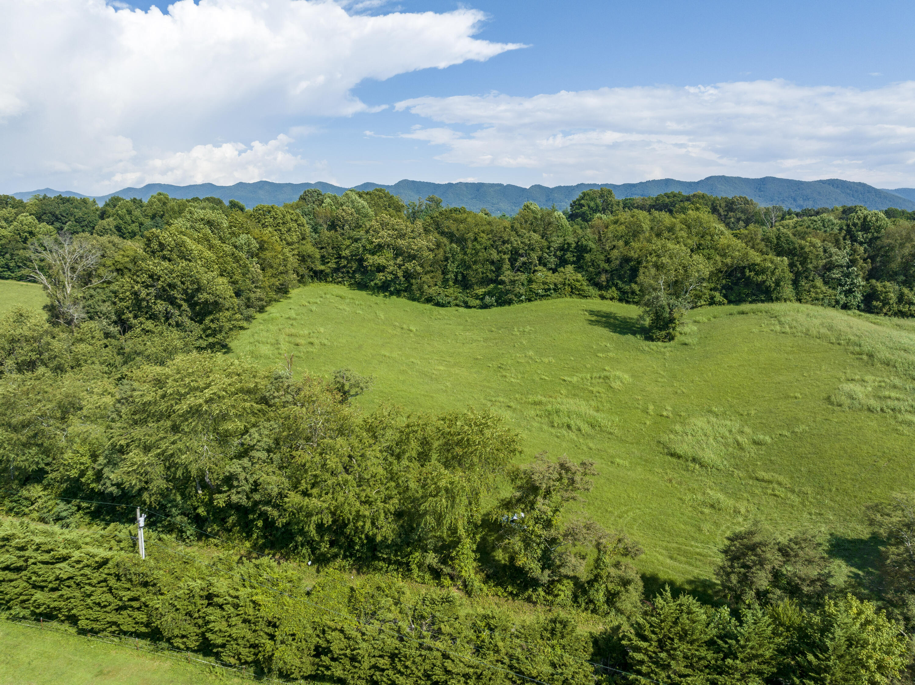 281 County Farm Road Jonesborough, TN 37659 - Photo 1 of 23 C362CB6C-BFF5-4D5E-A7E0-E5570A763389