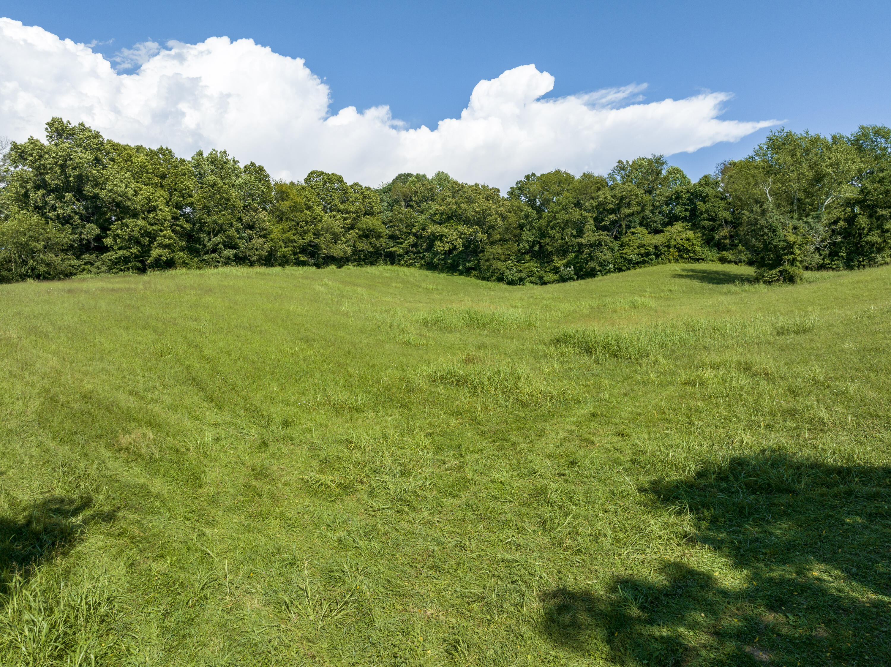 281 County Farm Road Jonesborough, TN 37659 - Photo 3 of 23 A32F5149-A903-4C2D-9328-672AE21AF4DD