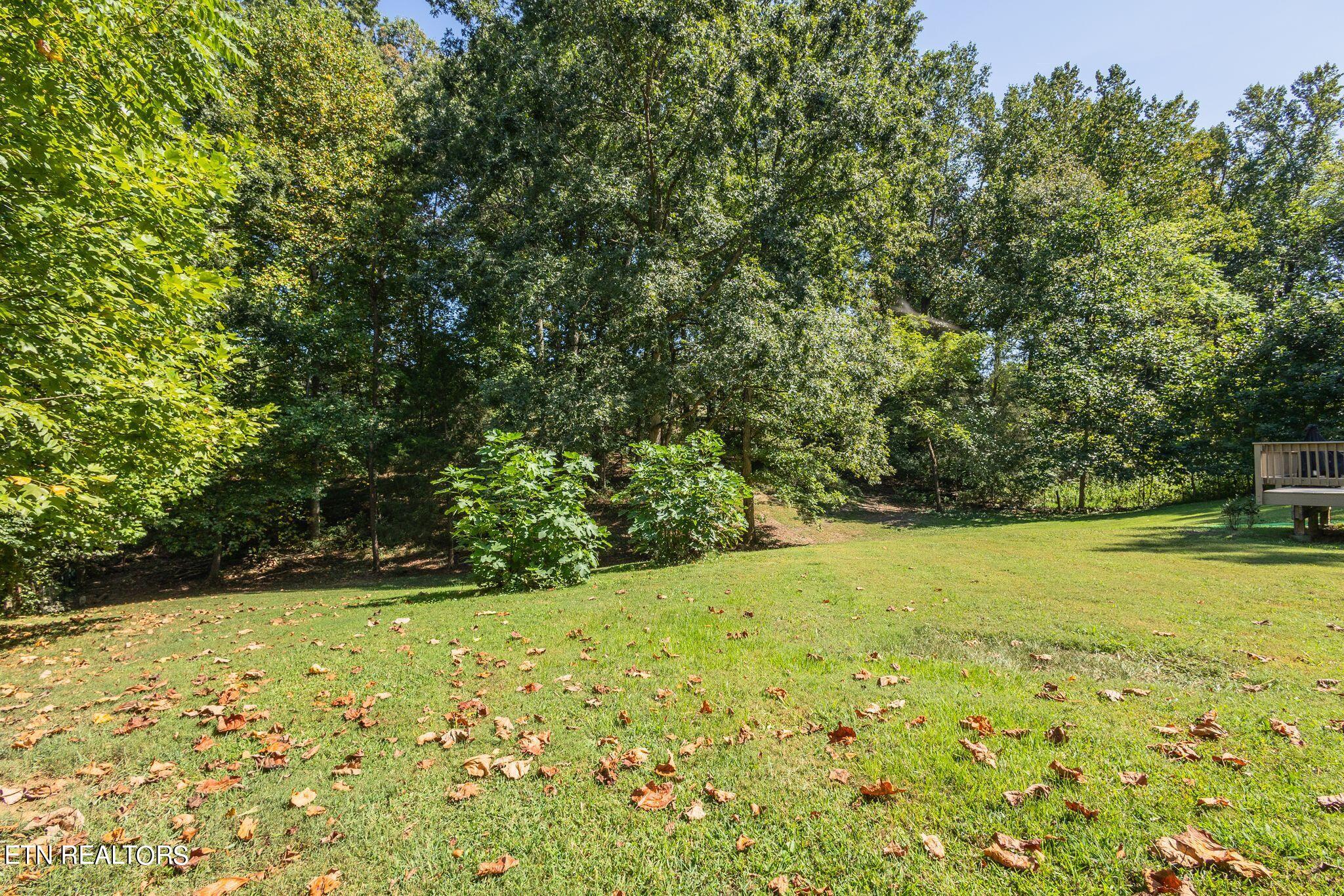 704 Bruner Road Strawberry Plains, TN 37871 - Photo 37 of 52 wj2409101-1049