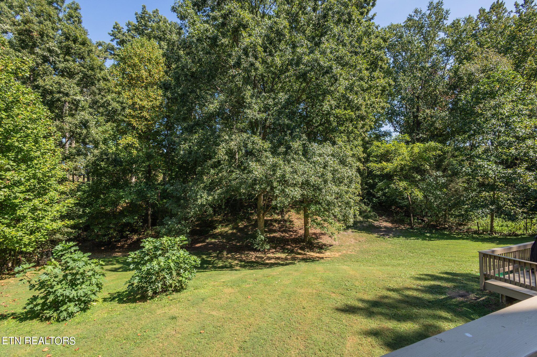 704 Bruner Road Strawberry Plains, TN 37871 - Photo 44 of 52 wj2409101-1056