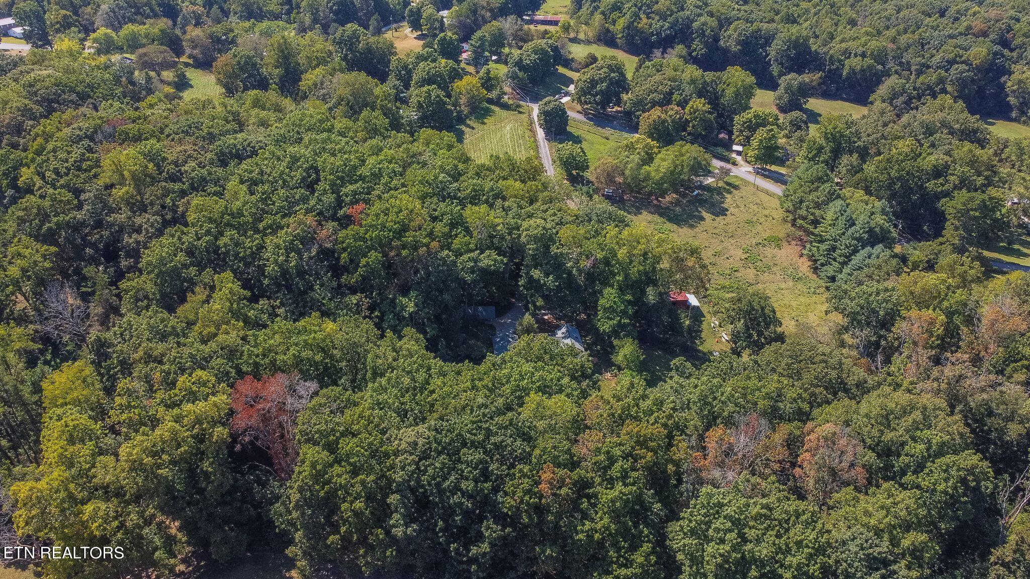 704 Bruner Road Strawberry Plains, TN 37871 - Photo 47 of 52 wj2409101-1060