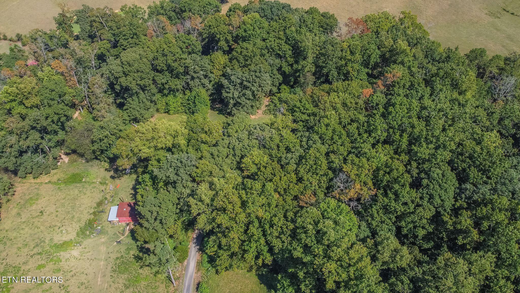 704 Bruner Road Strawberry Plains, TN 37871 - Photo 51 of 52 wj2409101-1002