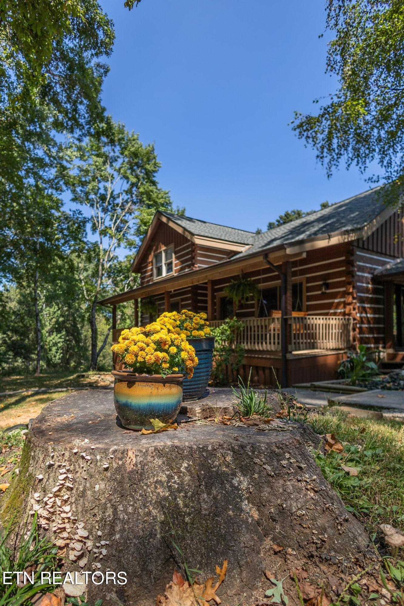 704 Bruner Road Strawberry Plains, TN 37871 - Photo 7 of 52 wj2409101-1011
