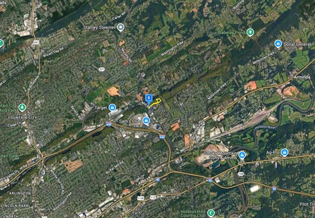 a close up of a tree in a yard