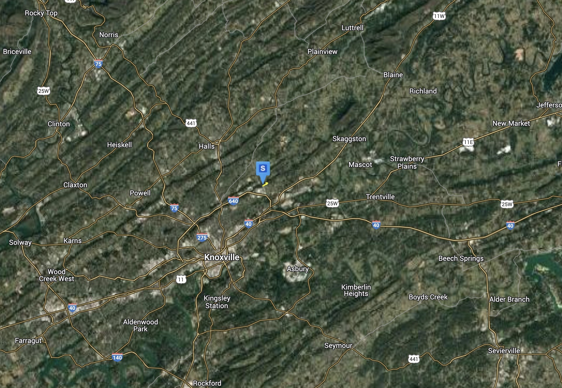 2918 Mill Road Knoxville, TN 37924 - Photo 5 of 5 a close up of a tree in a yard