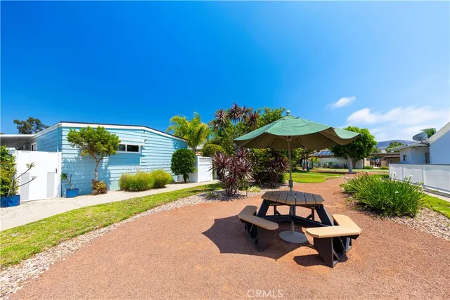 a view of a potted plants with sky view
