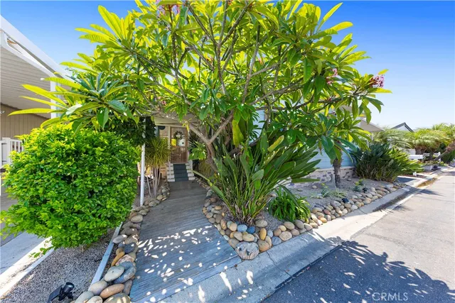 a view of a house with potted plants