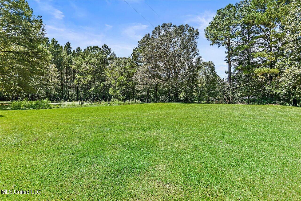 401 Cox Road Braxton, MS 39044 - Photo 41 of 70 56-401 Cox Rd
