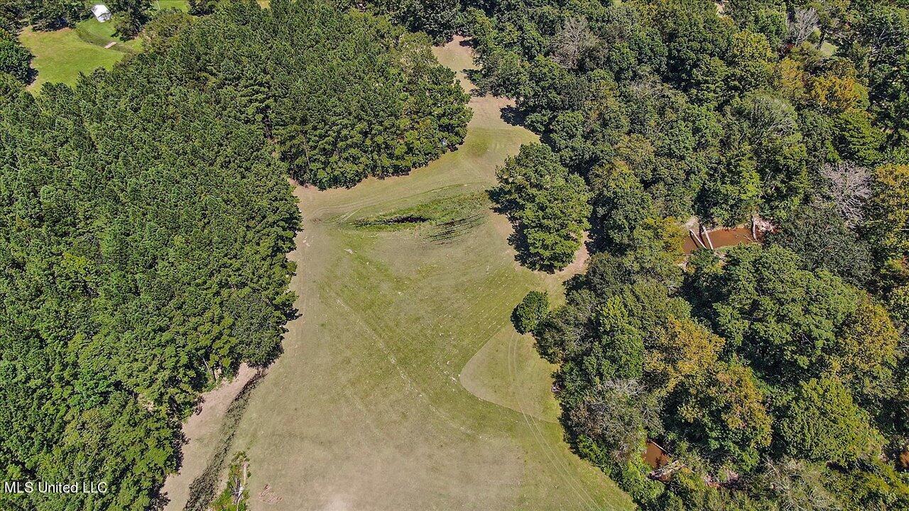 401 Cox Road Braxton, MS 39044 - Photo 42 of 70 73-401 Cox Rd