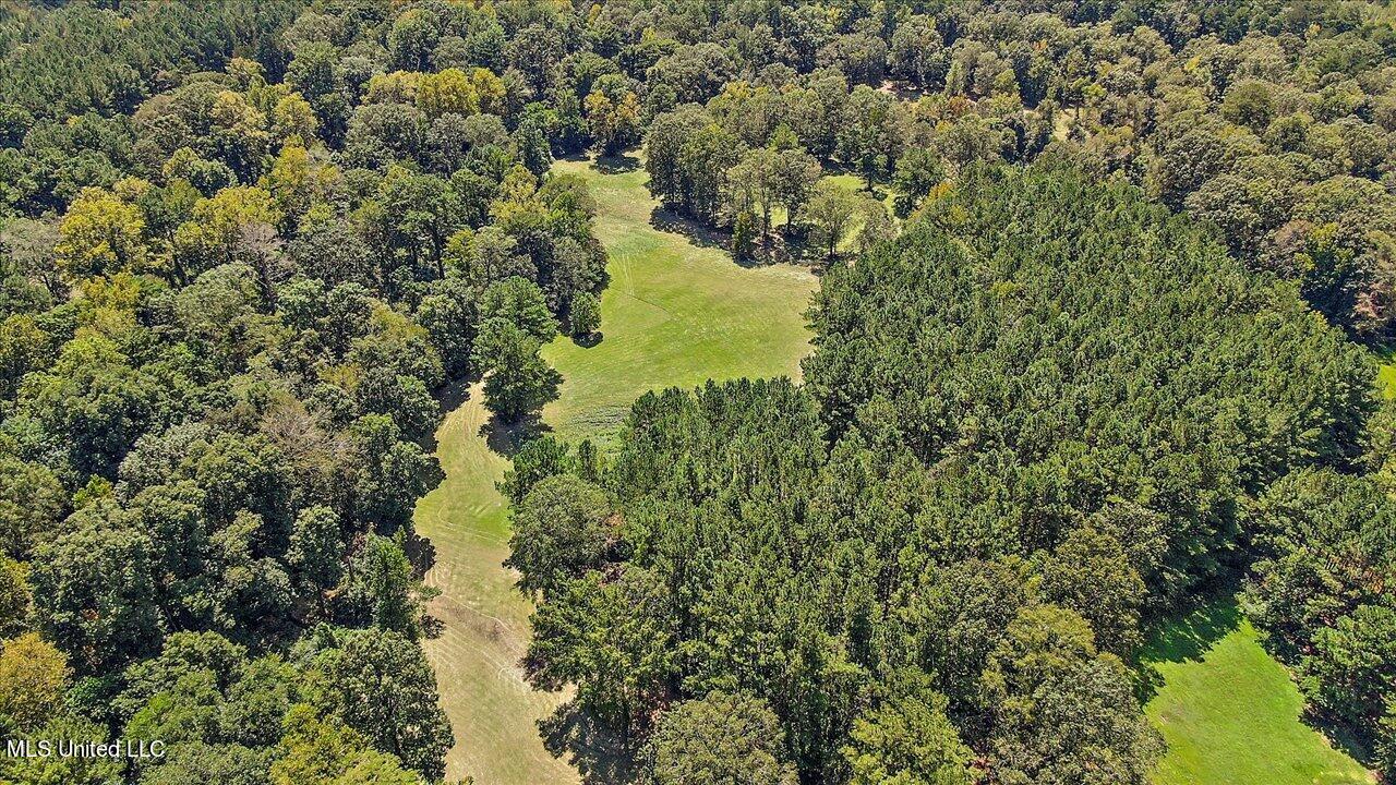 401 Cox Road Braxton, MS 39044 - Photo 44 of 70 66-401 Cox Rd