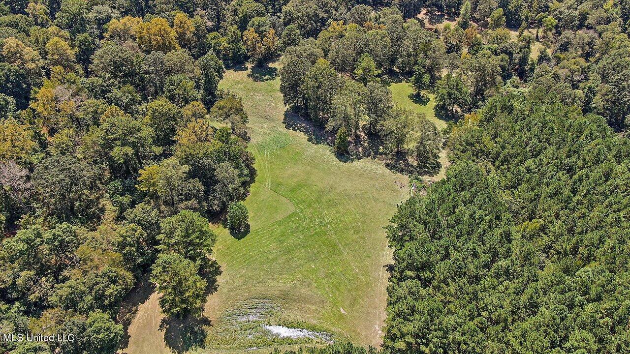 401 Cox Road Braxton, MS 39044 - Photo 45 of 70 67-401 Cox Rd