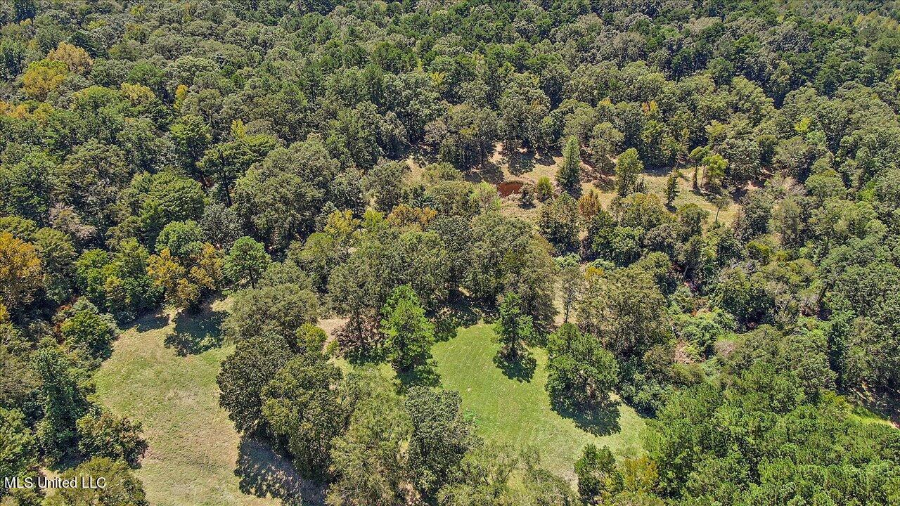 401 Cox Road Braxton, MS 39044 - Photo 46 of 70 68-401 Cox Rd