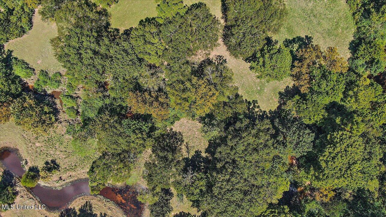 401 Cox Road Braxton, MS 39044 - Photo 49 of 70 72-401 Cox Rd