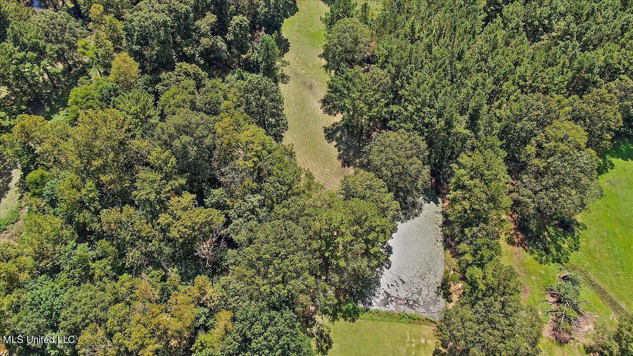401 Cox Road Braxton, MS 39044 - Photo 51 of 70 65-401 Cox Rd