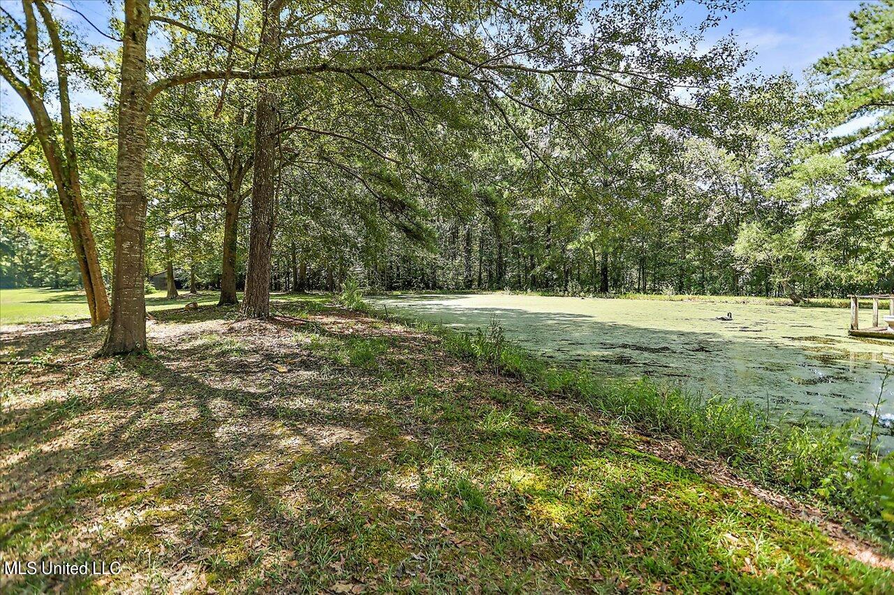 401 Cox Road Braxton, MS 39044 - Photo 54 of 70 57-401 Cox Rd