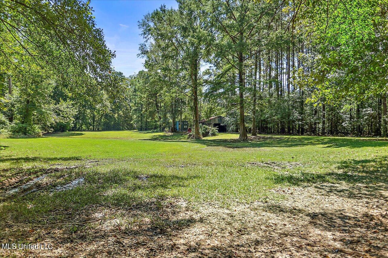 401 Cox Road Braxton, MS 39044 - Photo 55 of 70 58-401 Cox Rd