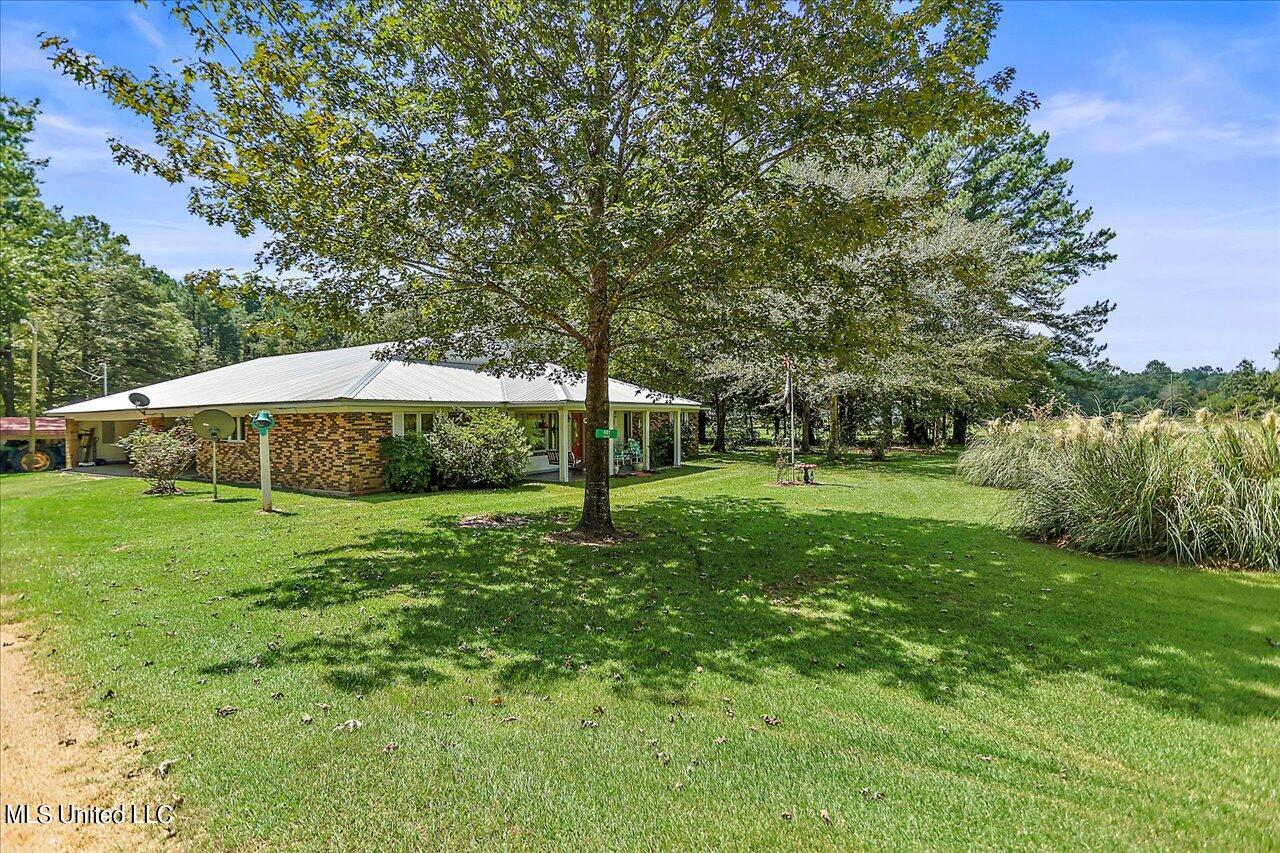 401 Cox Road Braxton, MS 39044 - Photo 56 of 70 46-401 Cox Rd
