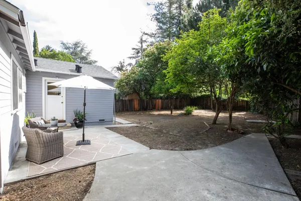 a view of a backyard with large trees and wooden fence