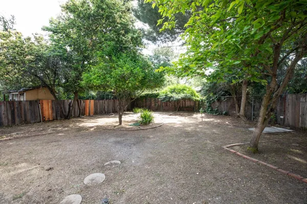 a view of a yard with plants and large trees