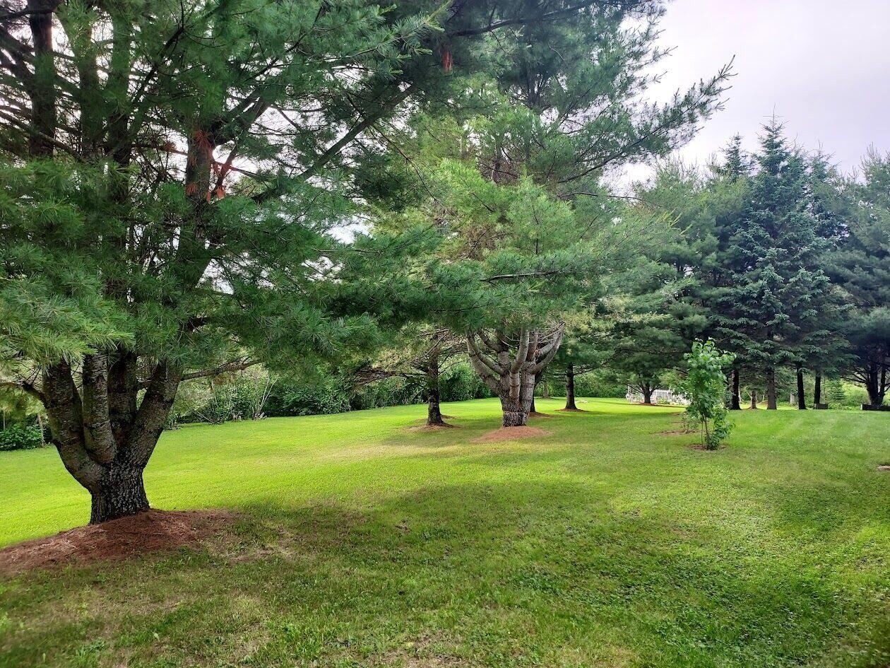 399 Stetson Road West Levant, ME 04456 - Photo 56 of 77 Backyard 4