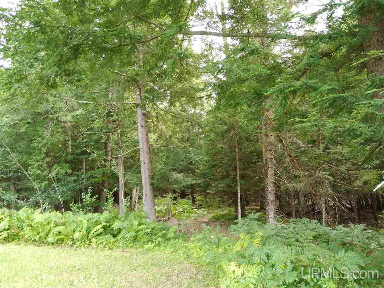 8091 Co Road Rapid River, MI 49878 - Photo 25 of 25 Gallery Image 25