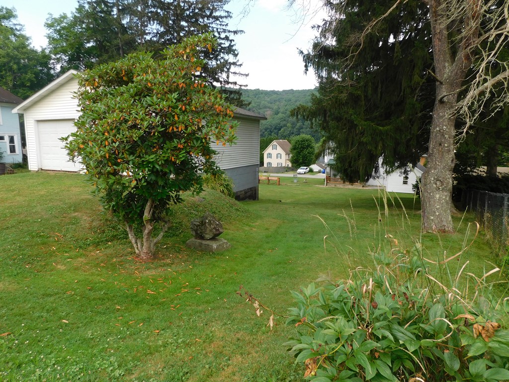 204 1st Avenue Rouseville, PA 16344 - Photo 26 of 37 a view of a garden with large trees