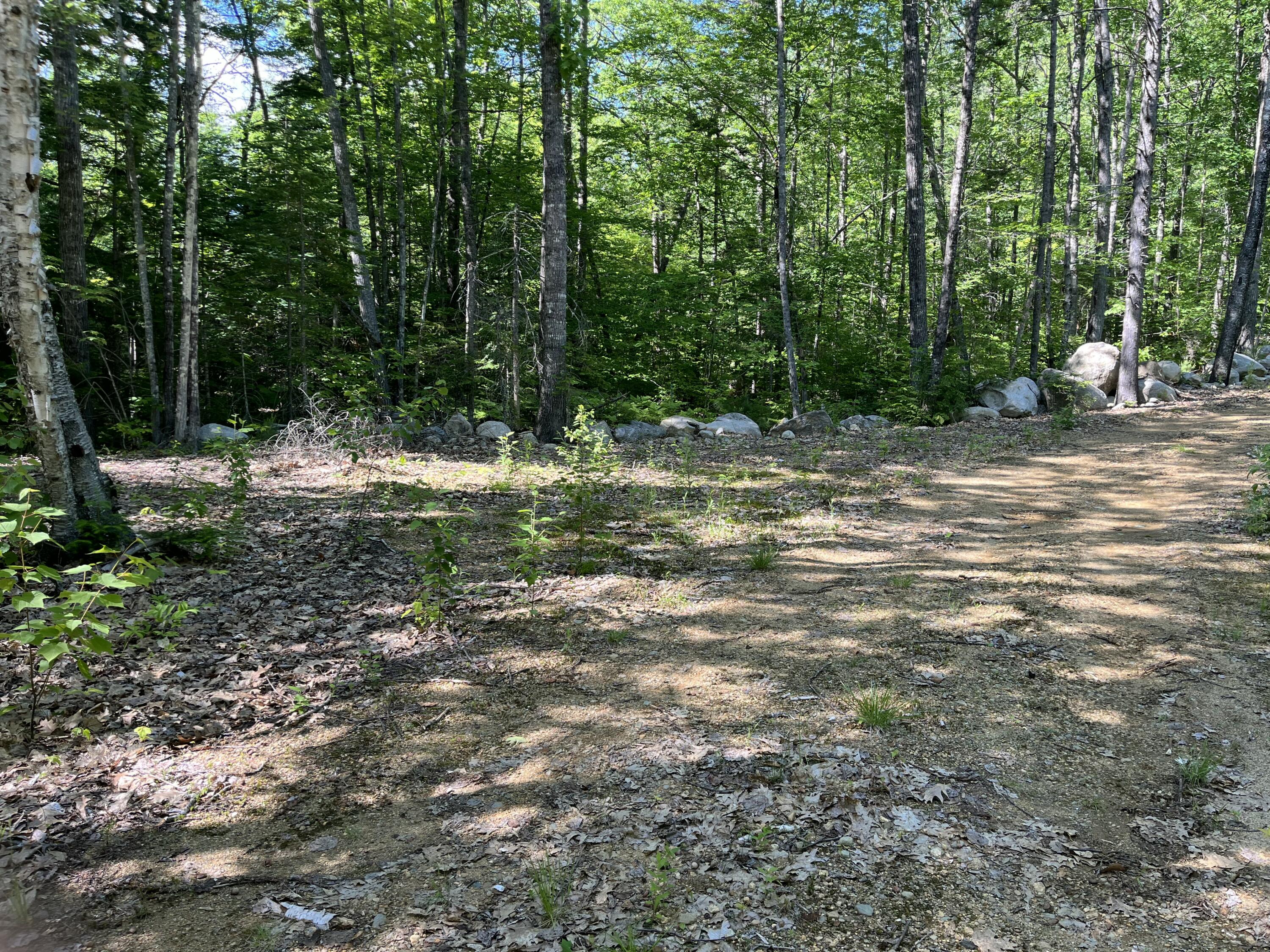 1450 Roxbury Road Roxbury, ME 04275 - Photo 6 of 23 IMG_1883
