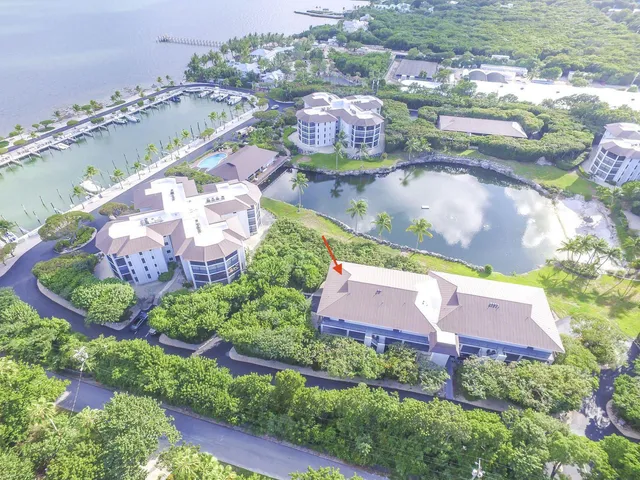 an aerial view of a house with a garden and lake view