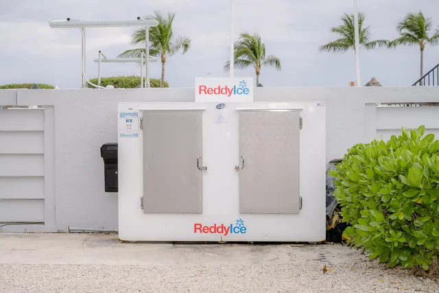 a view of kitchen with a refrigerator and a potted plant