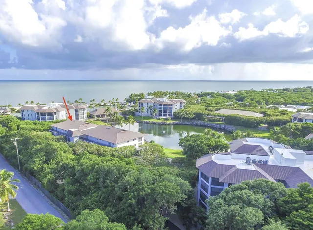 a view of a lake with a city