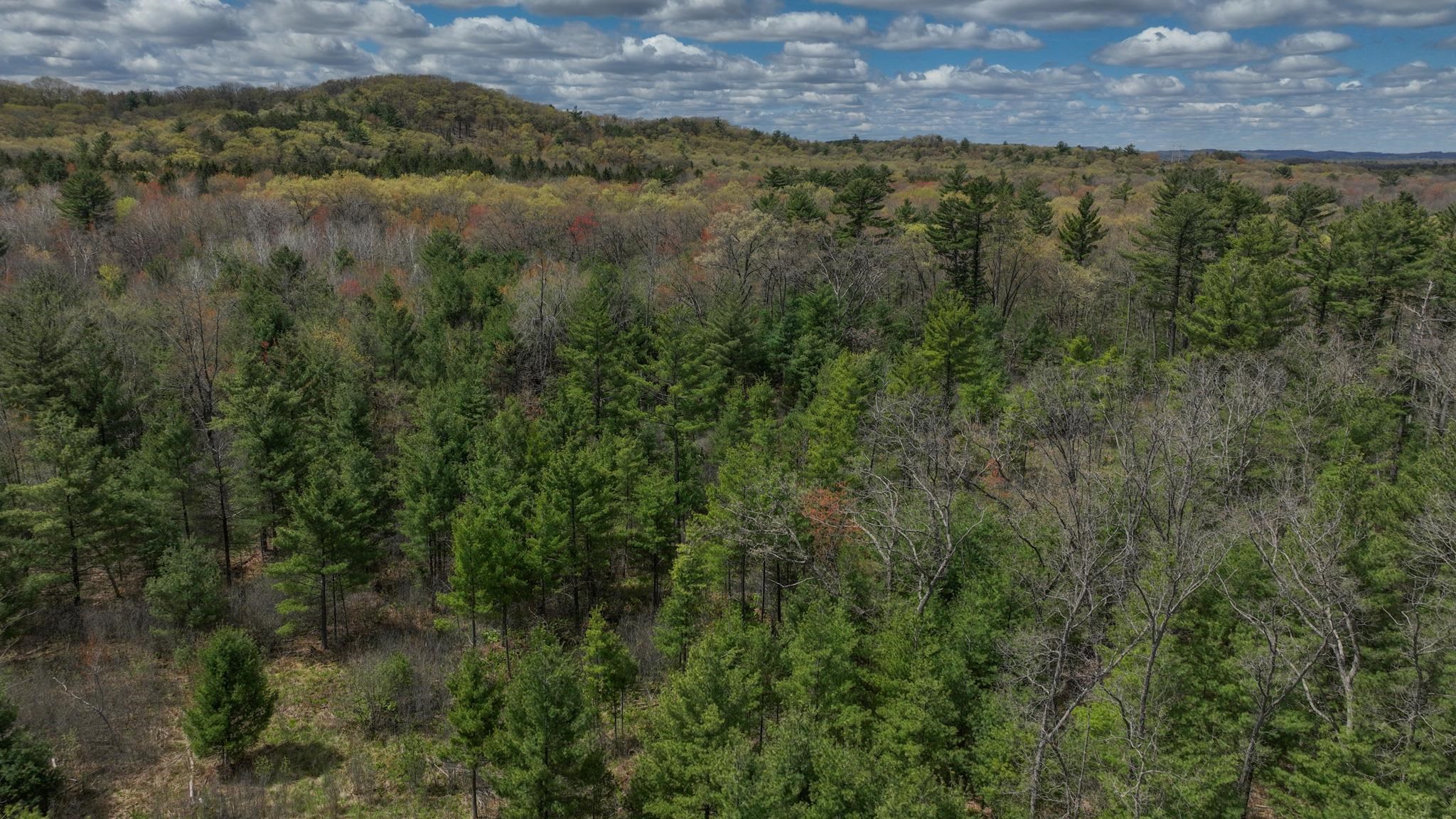 Lot 4 Grayling Tomah, WI 54660 - Photo 17 of 50