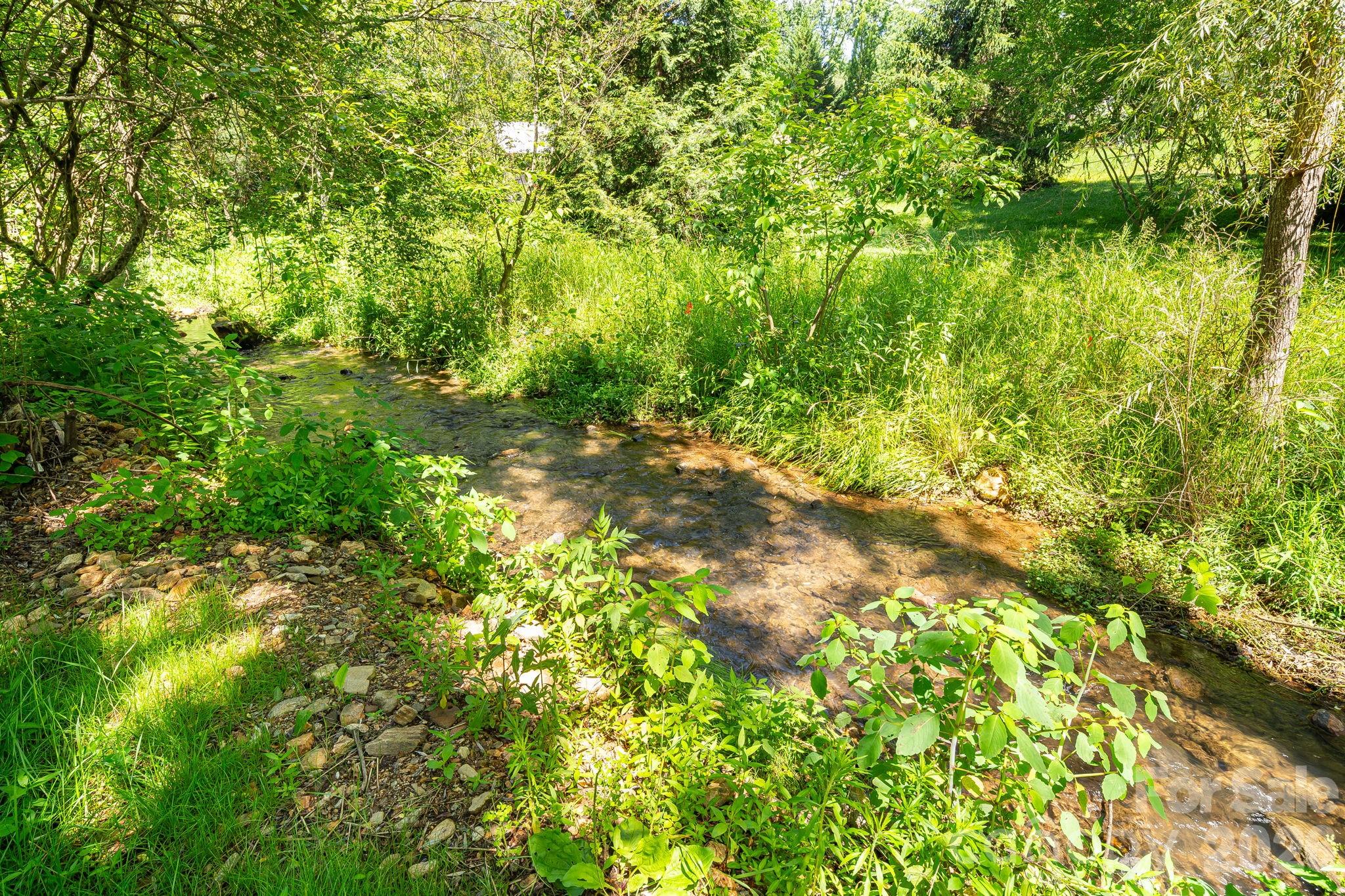 468 Beaverdam Road Asheville, NC 28804 - Photo 10 of 19 a backyard of a house with lots of plants and tree
