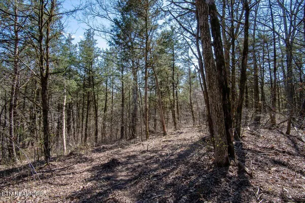 $145,900 | 1 Wolfenbarger Tract, Luttrell, TN 37779