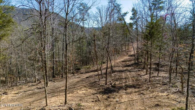 $169,900 | 1 Wolfenbarger Tract, Luttrell, TN 37779