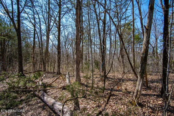 $145,900 | 1 Wolfenbarger Tract, Luttrell, TN 37779