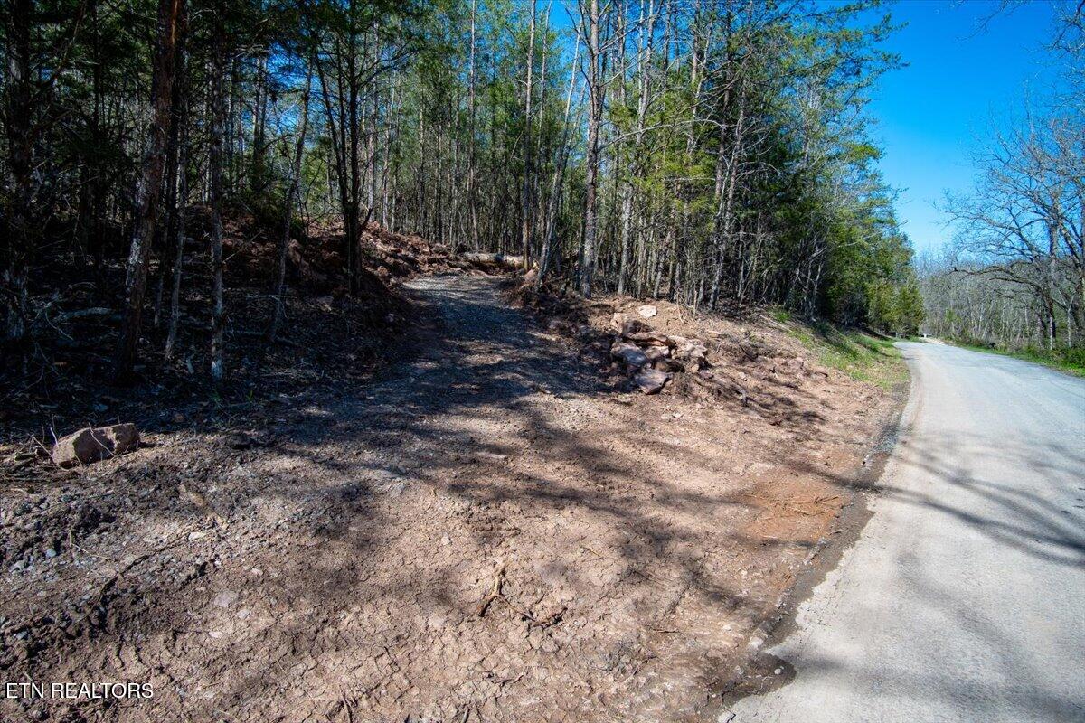 1 Wolfenbarger Tract Luttrell, TN 37779 - Photo 3 of 26 Driveway from road.