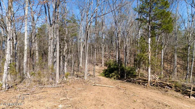 $169,900 | 1 Wolfenbarger Tract, Luttrell, TN 37779
