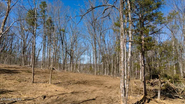 $145,900 | 1 Wolfenbarger Tract, Luttrell, TN 37779