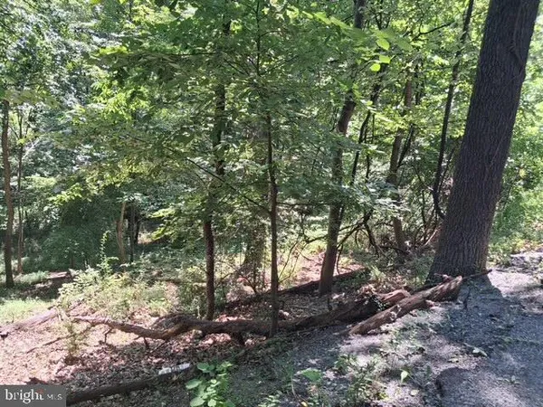$29,900 | Rome Beauty Drive, Linden, VA 22642