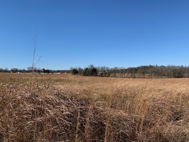 Lodge Hall Road Bowling Green, KY 42101 - Photo 1 of 1 Gallery Image 1