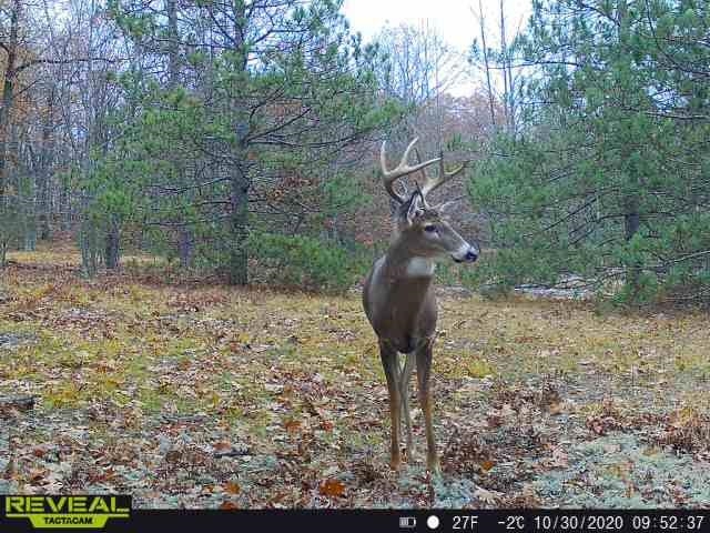 Parcel G South Brown Road Cadillac, MI 49601 - Photo 14 of 15