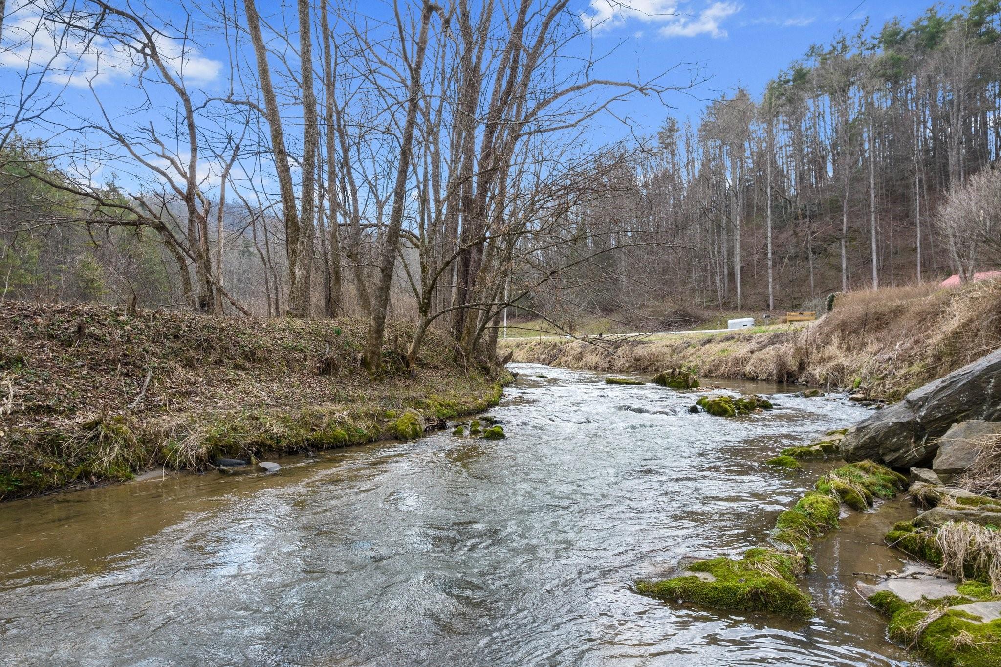 41 Rowan Hl Road Leicester, NC 28748 - Photo 45 of 48 a view of dirt yard with a large tree