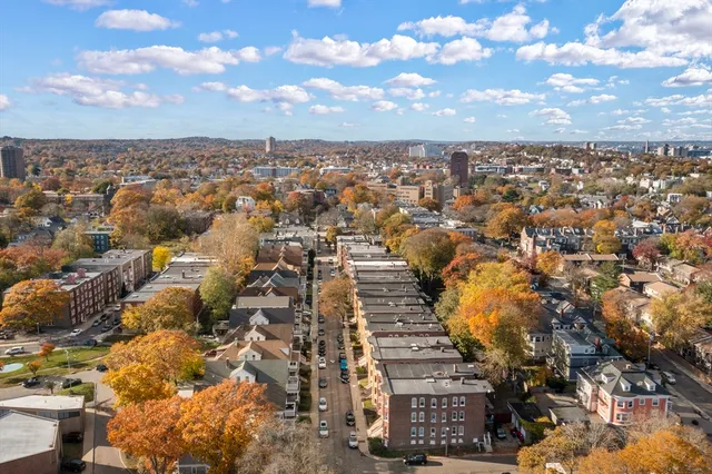a view of a yard with plants and trees